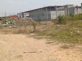  Land for sale in Nobol, Guayas, Narcisa De Jesus, Nobol