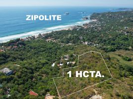  Land for sale in Dist Pochutla, Oaxaca, Dist Pochutla