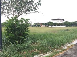  Land for sale in Calamba City, Laguna, Calamba City