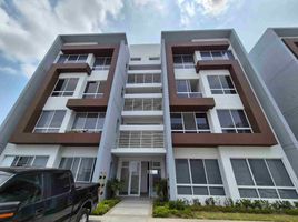 2 Bedroom Condo for rent in Samborondon, Guayas, Samborondon, Samborondon