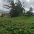  Land for sale in Villapinzon Cundinamarca, Villapinzon