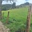  Land for sale in Villapinzon Cundinamarca, Villapinzon