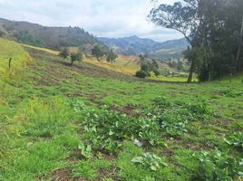  Villa en venta en Choconta, Cundinamarca, Choconta