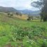  Villa zu verkaufen in Choconta, Cundinamarca, Choconta