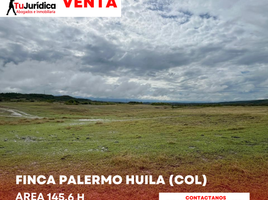  Land for sale in Neiva, Huila, Neiva