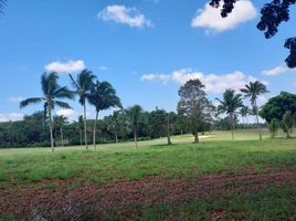  Land for sale in Silang, Calabarzon, Silang, Cavite