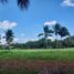  Land for sale in Silang, Calabarzon, Silang, Cavite