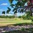  Land for sale in Silang, Calabarzon, Silang, Cavite