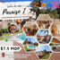 4 Schlafzimmer Wohnung zu verkaufen in Ixtapan De La Sal, Mexico, Ixtapan De La Sal