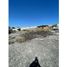  Land for rent in Tepeji Del Rio De Ocampo, Hidalgo, Tepeji Del Rio De Ocampo, Hidalgo