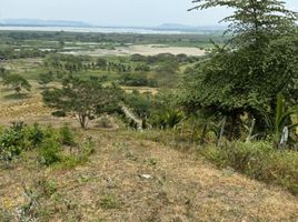  Land for sale in Tosagua, Manabi, Tosagua, Tosagua