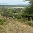  Land for sale in Tosagua, Manabi, Tosagua, Tosagua