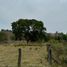  Land for sale in Tosagua, Manabi, Tosagua, Tosagua