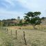  Land for sale in Tosagua, Manabi, Tosagua, Tosagua