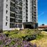 2 Habitación Apartamento en alquiler en Concepción, Biobío, Talcahuano, Concepción