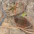  Land for sale in Elqui Coquimbo, Vicuna, Elqui, Coquimbo