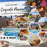 8 Schlafzimmer Wohnung zu verkaufen in Ixtapan De La Sal, Mexico, Ixtapan De La Sal, Mexico