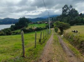  Grundstück zu verkaufen in Sesquile, Cundinamarca, Sesquile