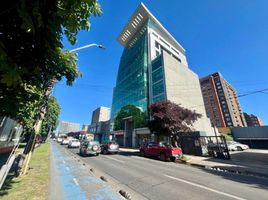 105 SqM Office for rent in Chile, Temuco, Cautin, Araucania, Chile