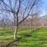  Terreno (Parcela) en venta en Chacabuco, Santiago, Lampa, Chacabuco
