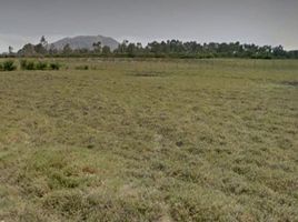 在Asia, Cañete出售的 土地, Asia
