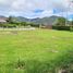  Land for sale in El Carmen De Viboral, Antioquia, El Carmen De Viboral