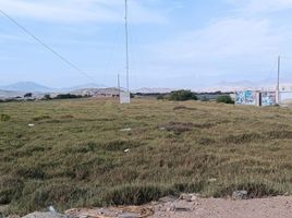  Terreno (Parcela) en venta en Casma, Ancash, Casma, Casma