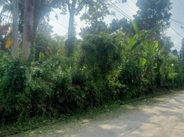  Land for sale in Amadeo, Cavite, Amadeo