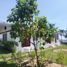 3 Bedroom House for sale in Lila, Central Visayas, Lila