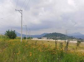  Land for sale in Tlayacapan, Morelos, Tlayacapan