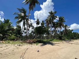  Terrain for sale in Palawan, Mimaropa, San Vicente, Palawan