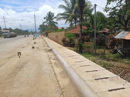  Grundstück zu verkaufen in Bukidnon, Northern Mindanao, Manolo Fortich, Bukidnon