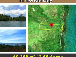  토지을(를) 팔라완, 미 마로파에서 판매합니다., Puerto Princesa City, 팔라완