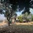  Land for sale in Huitzilac, Morelos, Huitzilac