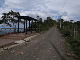  Terreno (Parcela) en venta en Dosquebradas, Risaralda, Dosquebradas