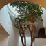 4 Schlafzimmer Haus zu verkaufen in Nicolas Romero, Mexico, Nicolas Romero
