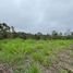  Land for sale in Santo Domingo De Los Tsachilas, Santo Domingo De Los Colorados, Santo Domingo, Santo Domingo De Los Tsachilas