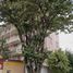 Appartement 3 chambre à vendre à Tultitlan, Mexico, Tultitlan