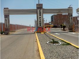  Terreno (Parcela) en venta en Pimentel, Chiclayo, Pimentel