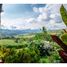 5 Habitación Villa en venta en Valle Del Cauca, Dagua, Valle Del Cauca