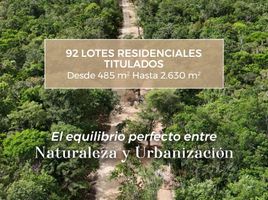  Grundstück zu verkaufen in Cozumel, Quintana Roo, Cozumel