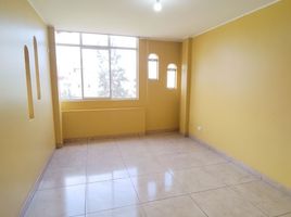 1 Bedroom Condo for rent in Peru, Los Olivos, Lima, Lima, Peru