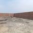  Land for sale in Mala, Lima, Mala