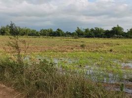  Land for sale in Murcia, Negros Occidental, Murcia