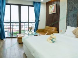 1 Schlafzimmer Appartement zu vermieten in Thuan Phuoc, Hai Chau, Thuan Phuoc