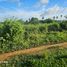  Land for sale in Ubay, Central Visayas, Ubay