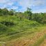 Land for sale in Balilihan, Central Visayas, Balilihan