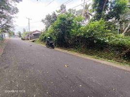  Terreno (Parcela) en venta en Bali, Kerambitan, Tabanan, Bali