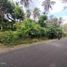  Land for sale in Kerambitan, Tabanan, Kerambitan