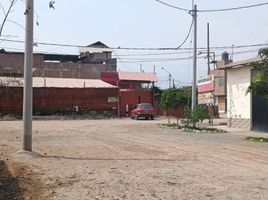  Grundstück zu verkaufen in Carabayllo, Lima, Carabayllo, Lima, Lima